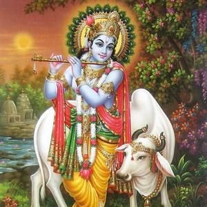 Meet your Posher, Schandan